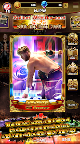 NJPW Collection Game