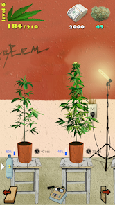 Weed Firm Replanted Game