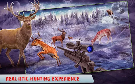 Wild Animal Hunter Game