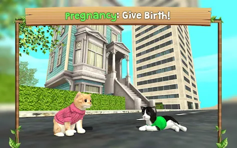 Similar Game of Cat Sim Online
