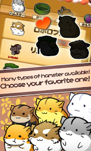 Similar Game of Hamster Life