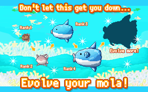 Similar Game of Survive Mola mola